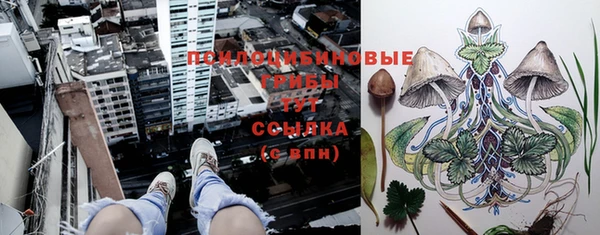 таблы Алексеевка